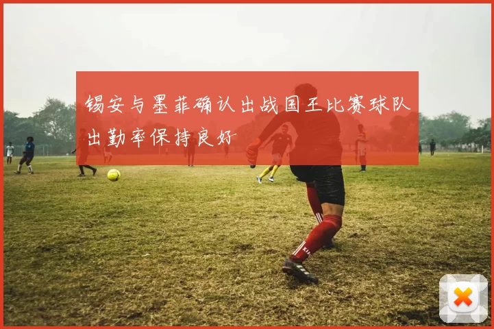 锡安与墨菲确认出战国王比赛球队出勤率保持良好
