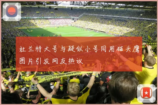 杜兰特大号与疑似小号同用猫头鹰图片引发网友热议
