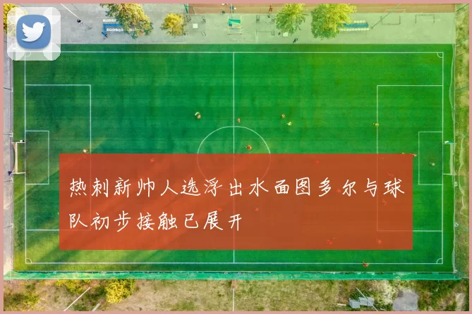 热刺新帅人选浮出水面图多尔与球队初步接触已展开