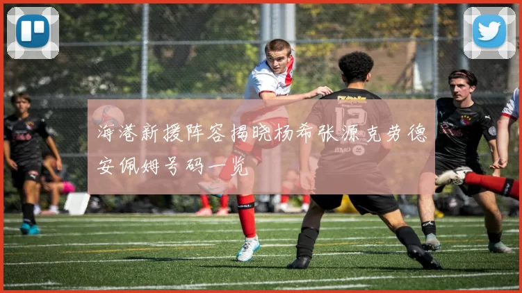 海港新援阵容揭晓杨希张源克劳德安佩姆号码一览